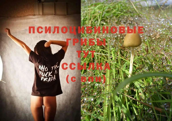 spice Алексеевка