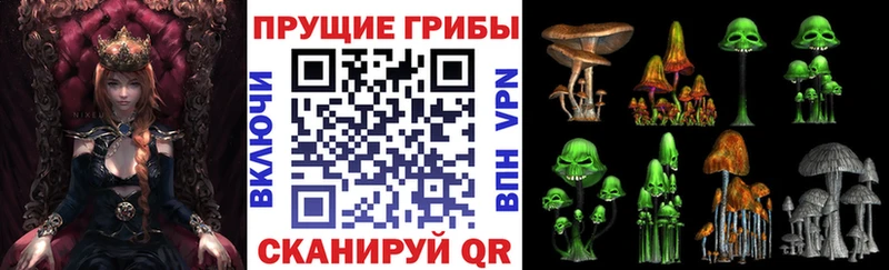 Галлюциногенные грибы Magic Shrooms  Приозерск 